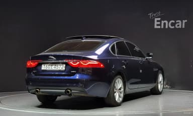XF (x260)