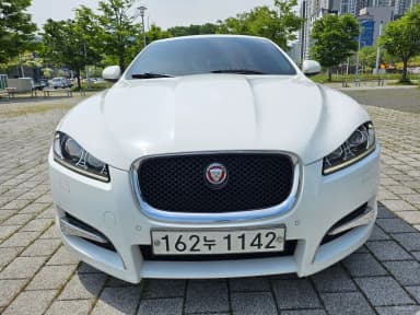 New XF