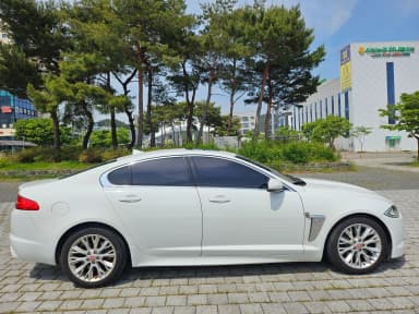 New XF