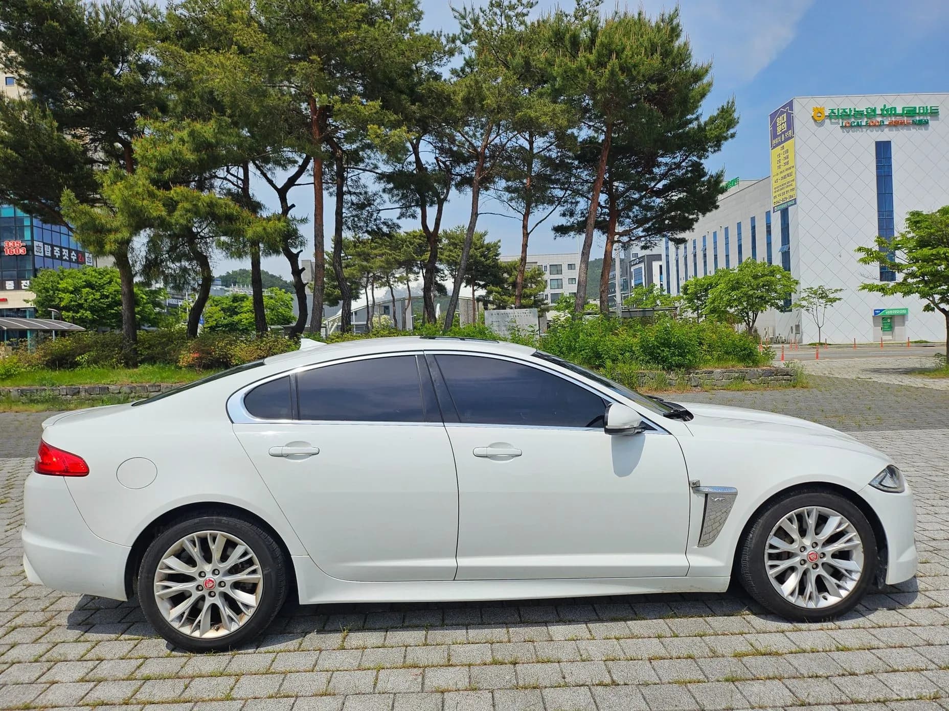 New XF