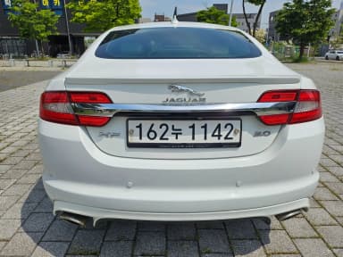 New XF