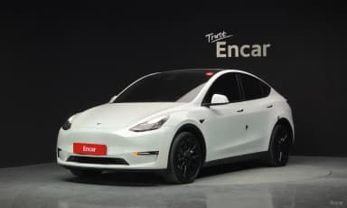 Model Y