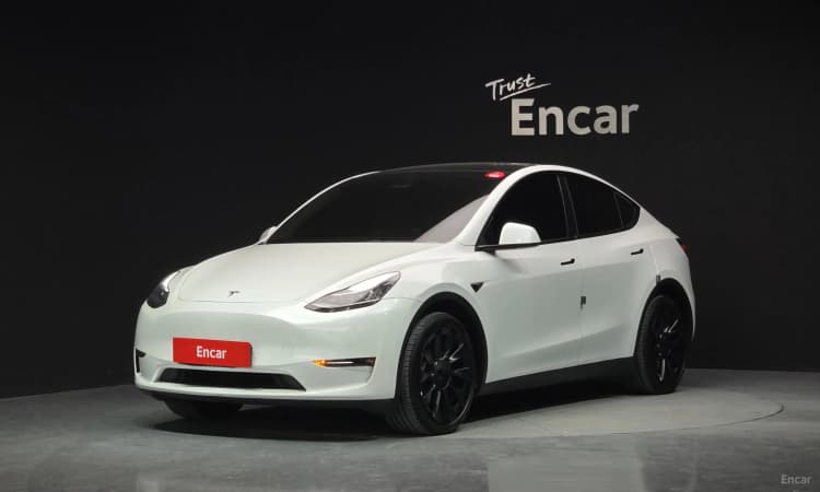 Model Y
