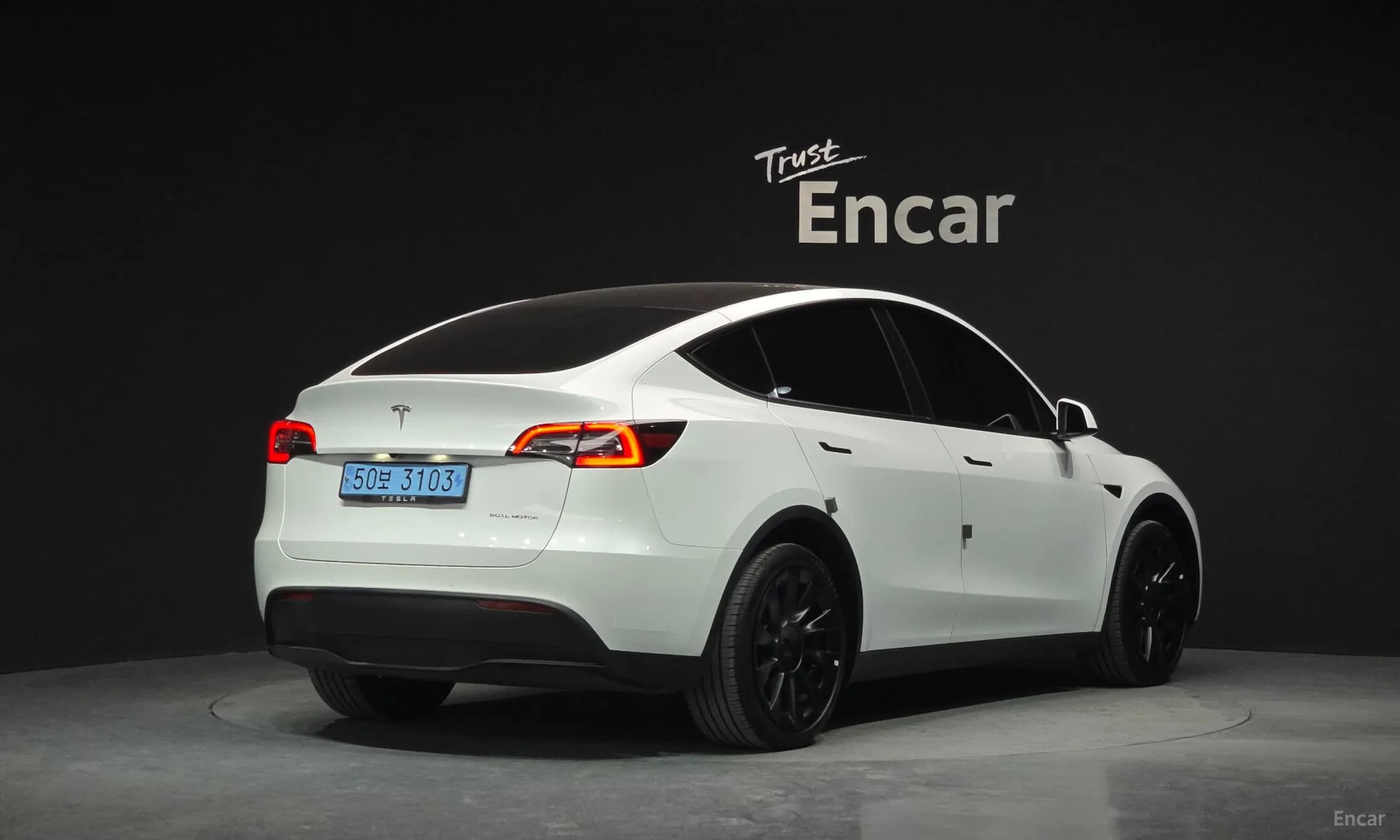 Model Y