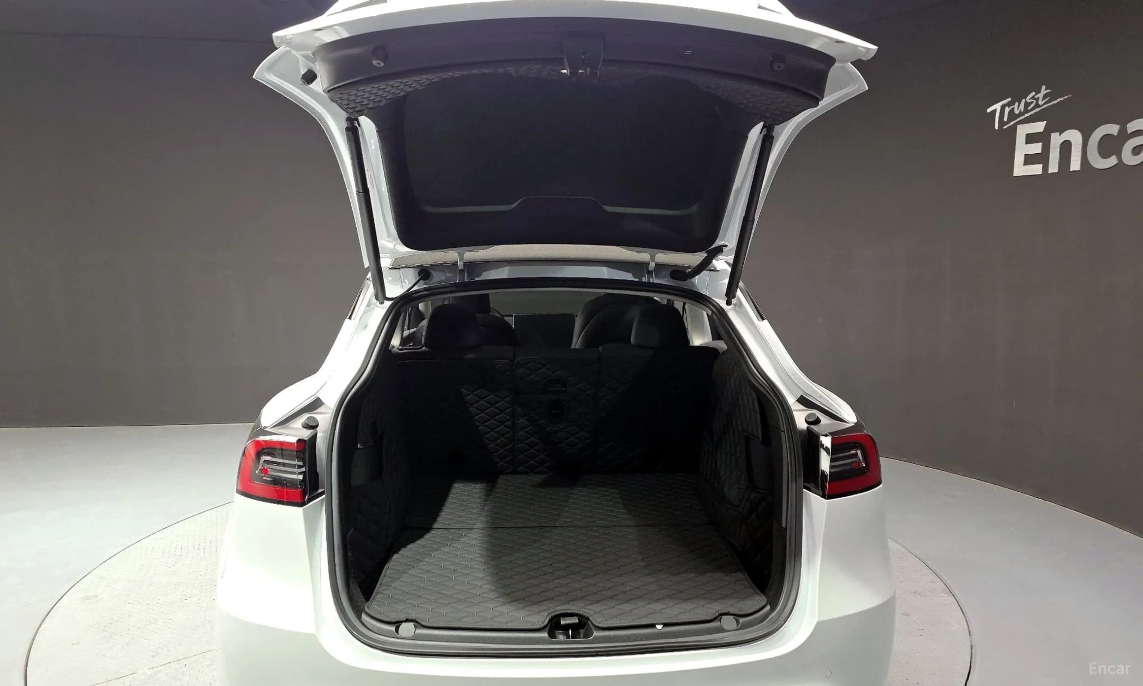 Model Y