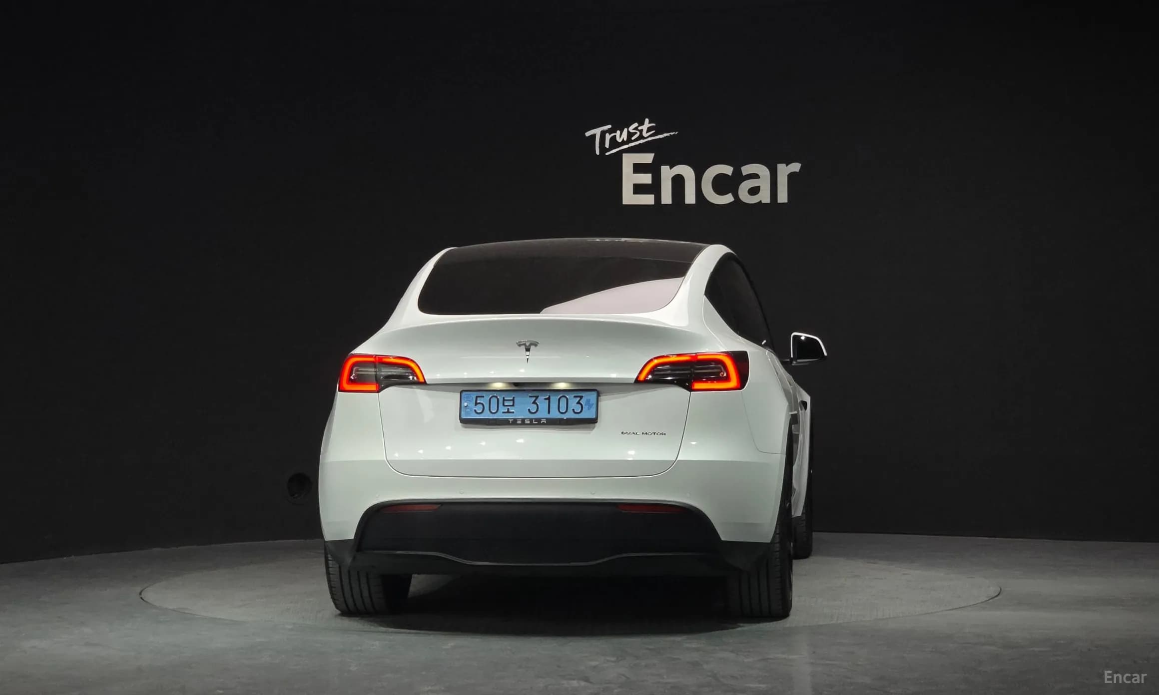 Model Y
