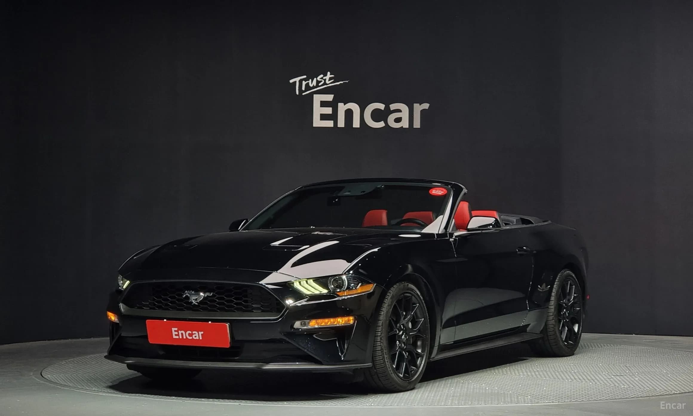 Mustang