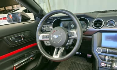Mustang