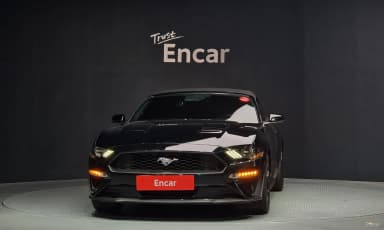 Mustang