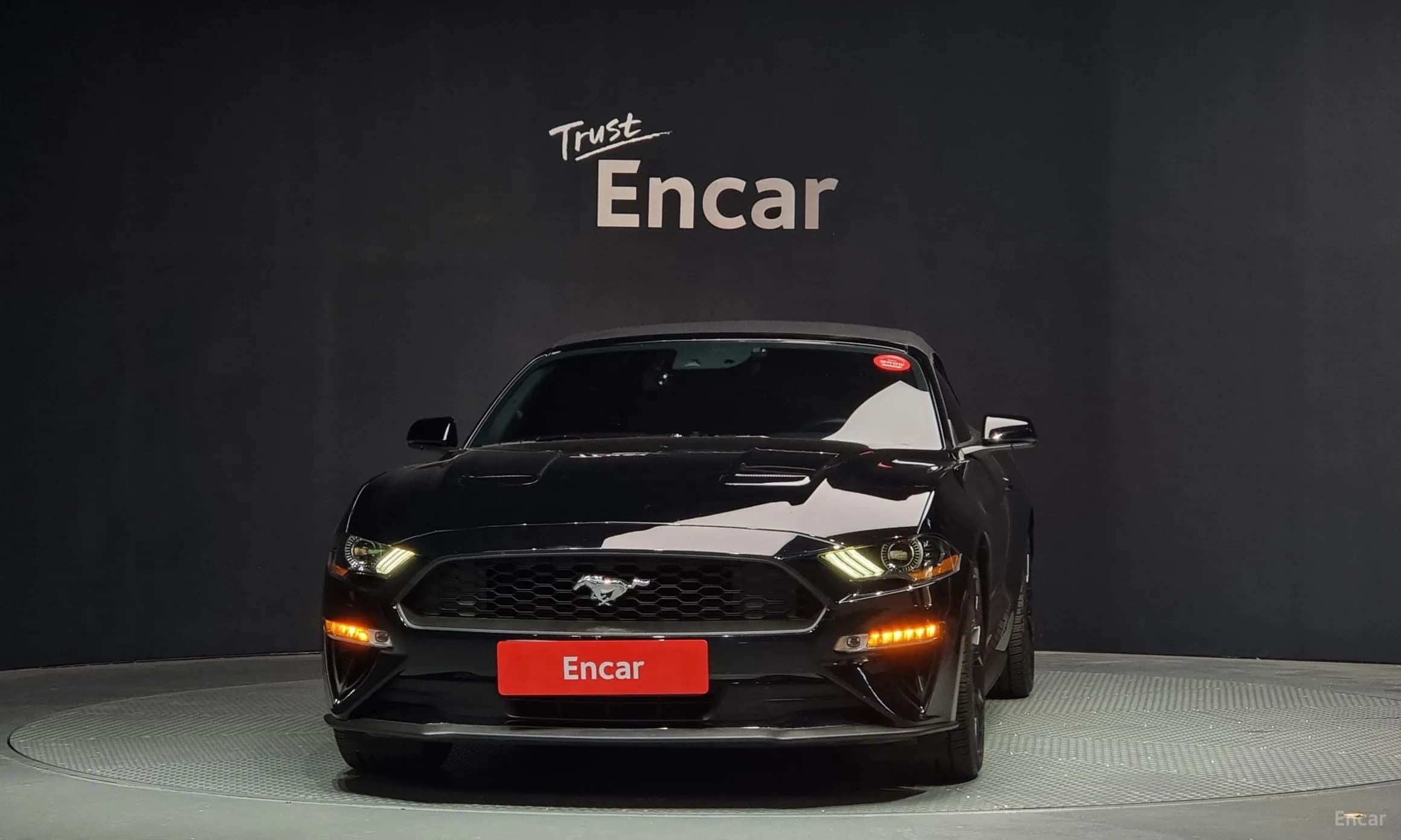 Mustang
