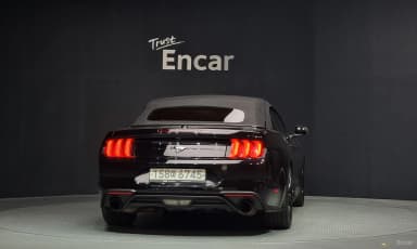 Mustang