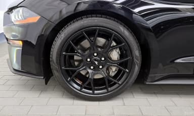 Mustang