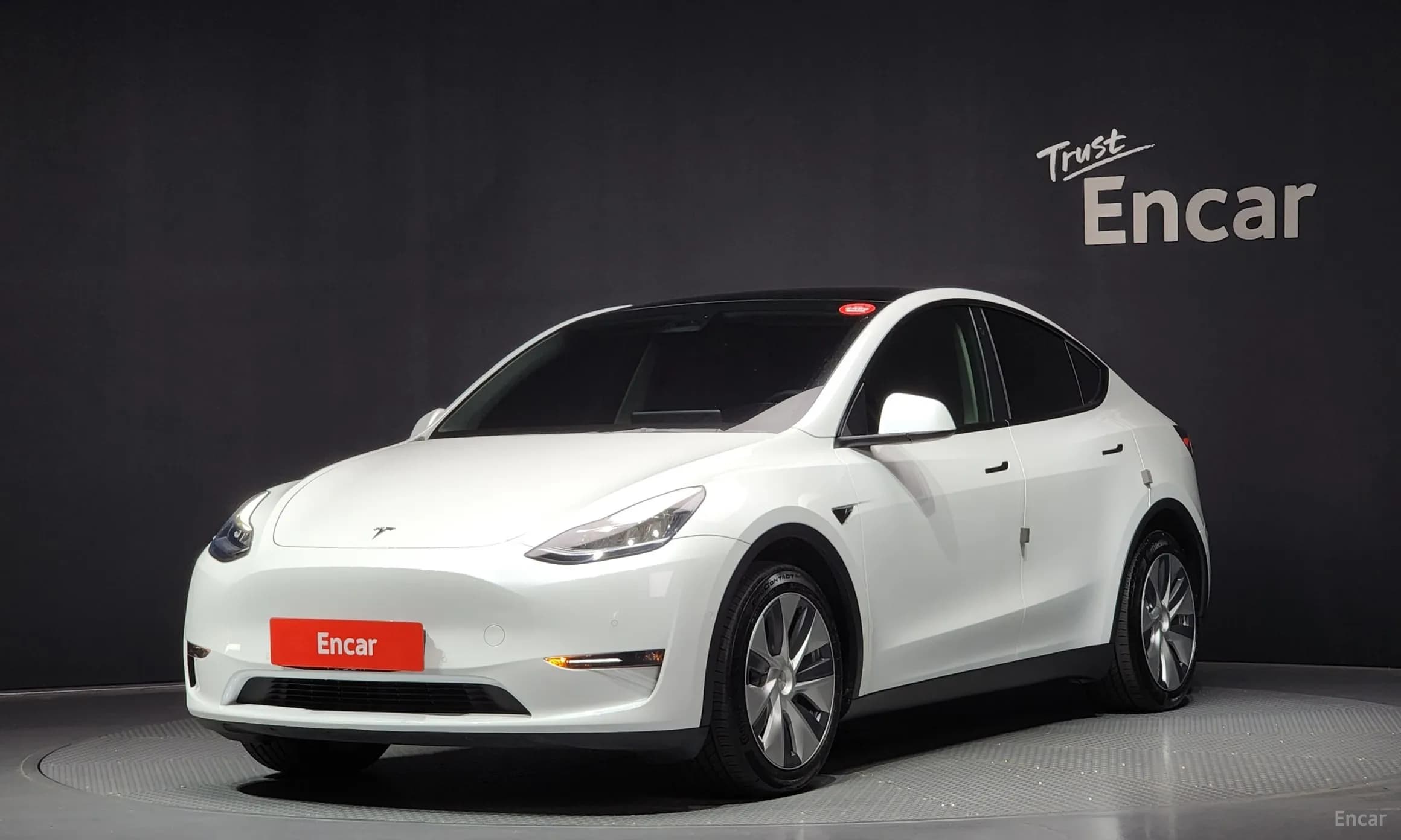 Model Y