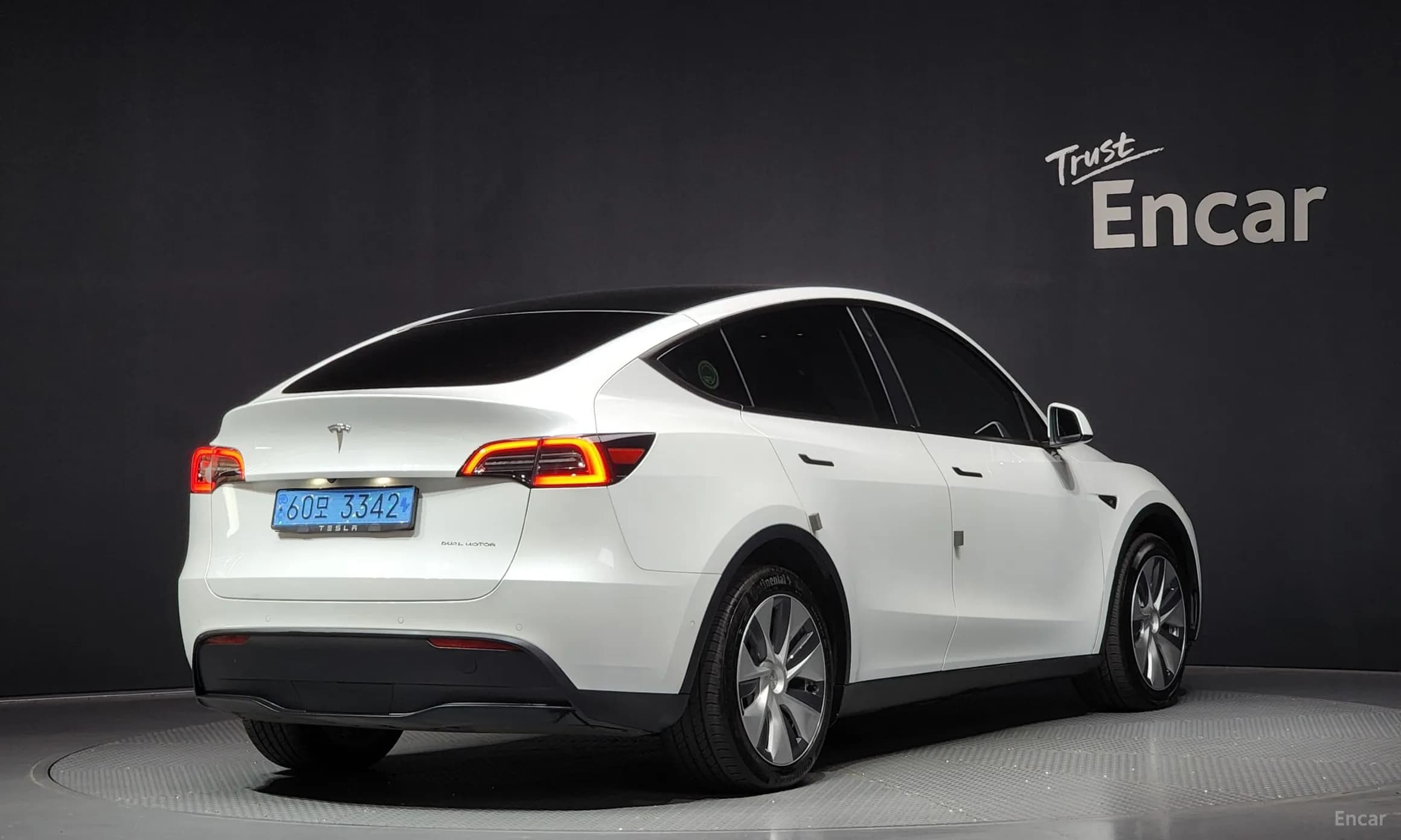 Model Y