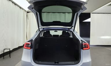 Model Y