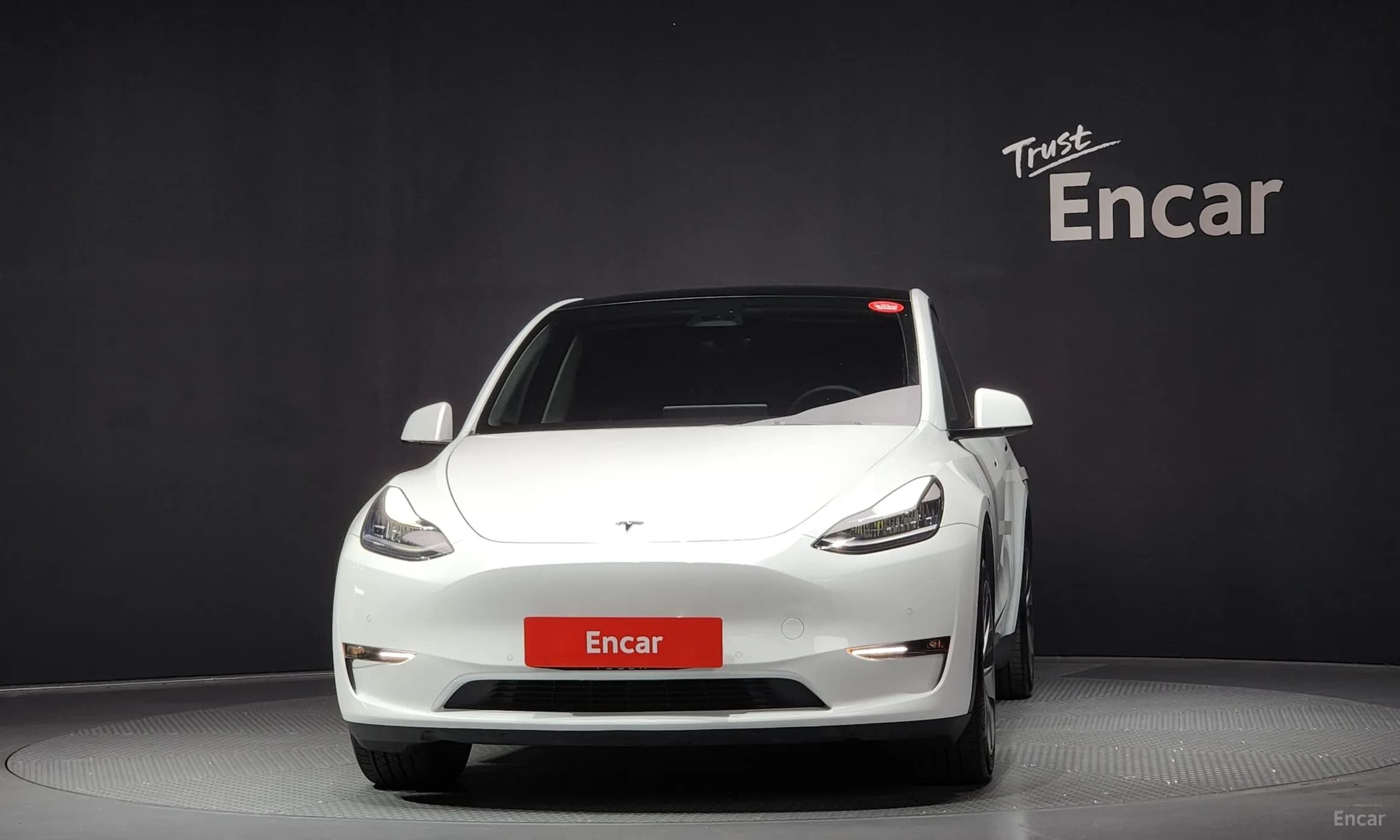 Model Y