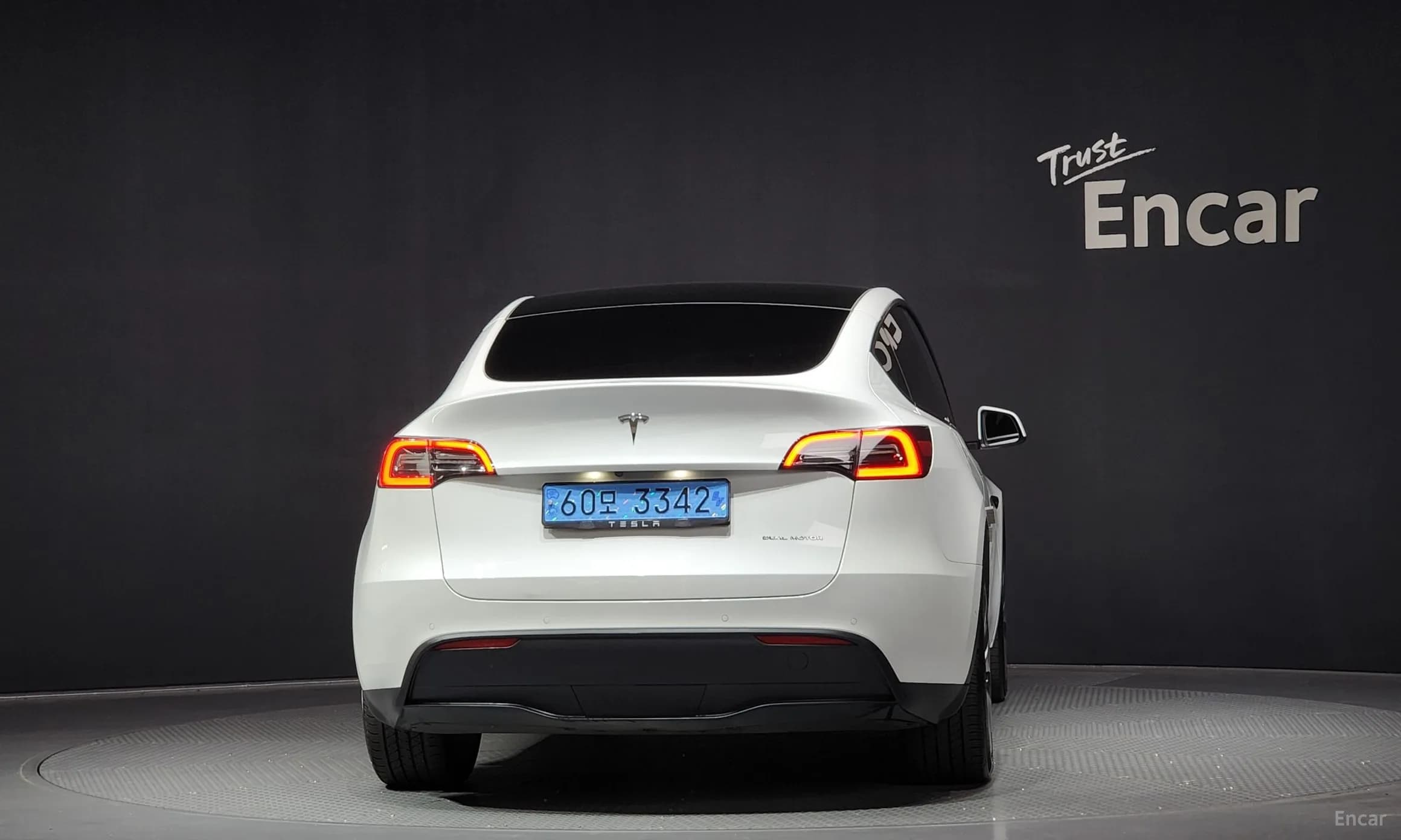 Model Y