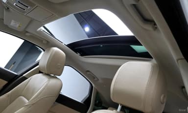 XF (x260)