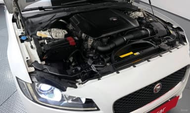 XF (x260)