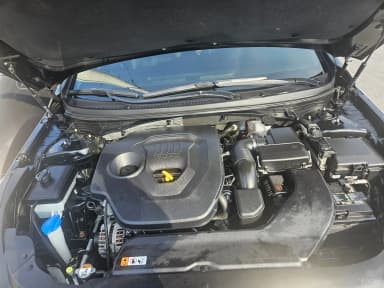 LF Sonata