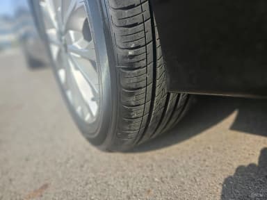 LF Sonata