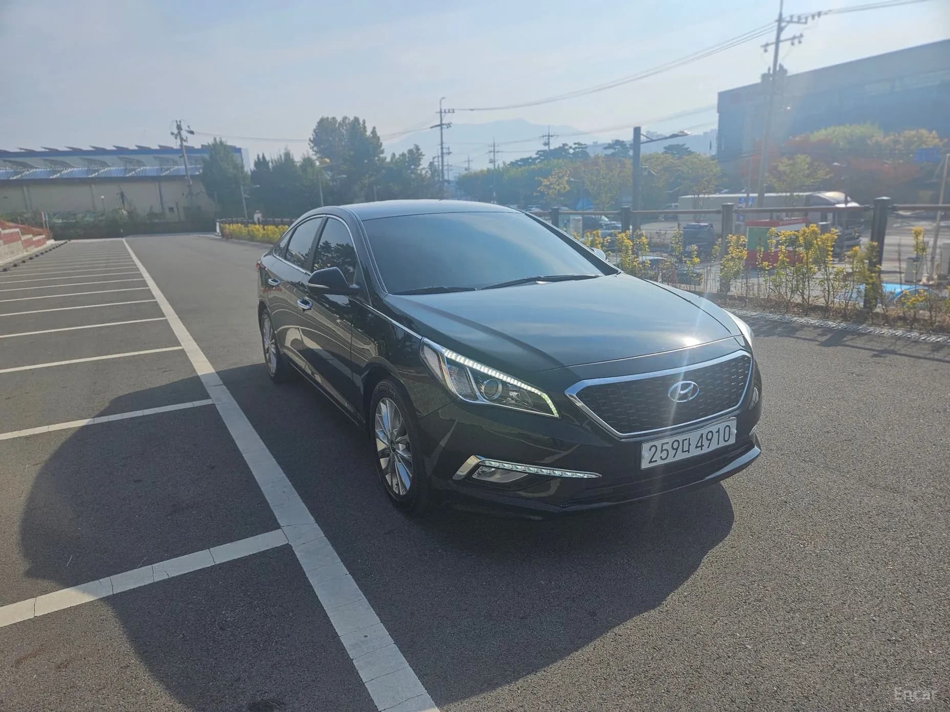 LF Sonata