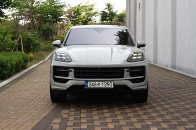 Cayenne (PO536)