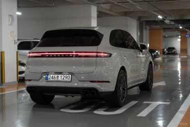 Cayenne (PO536)