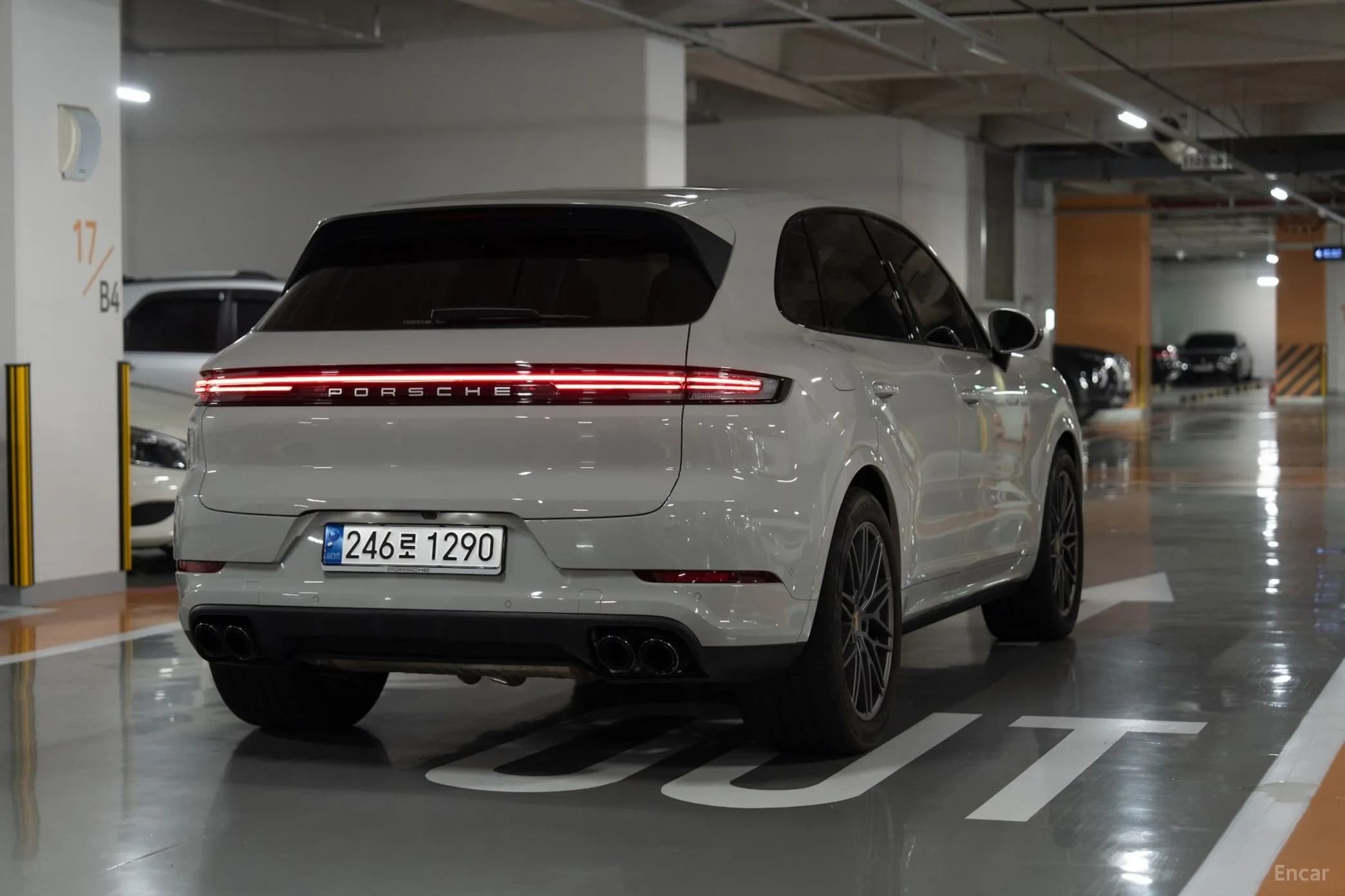 Cayenne (PO536)
