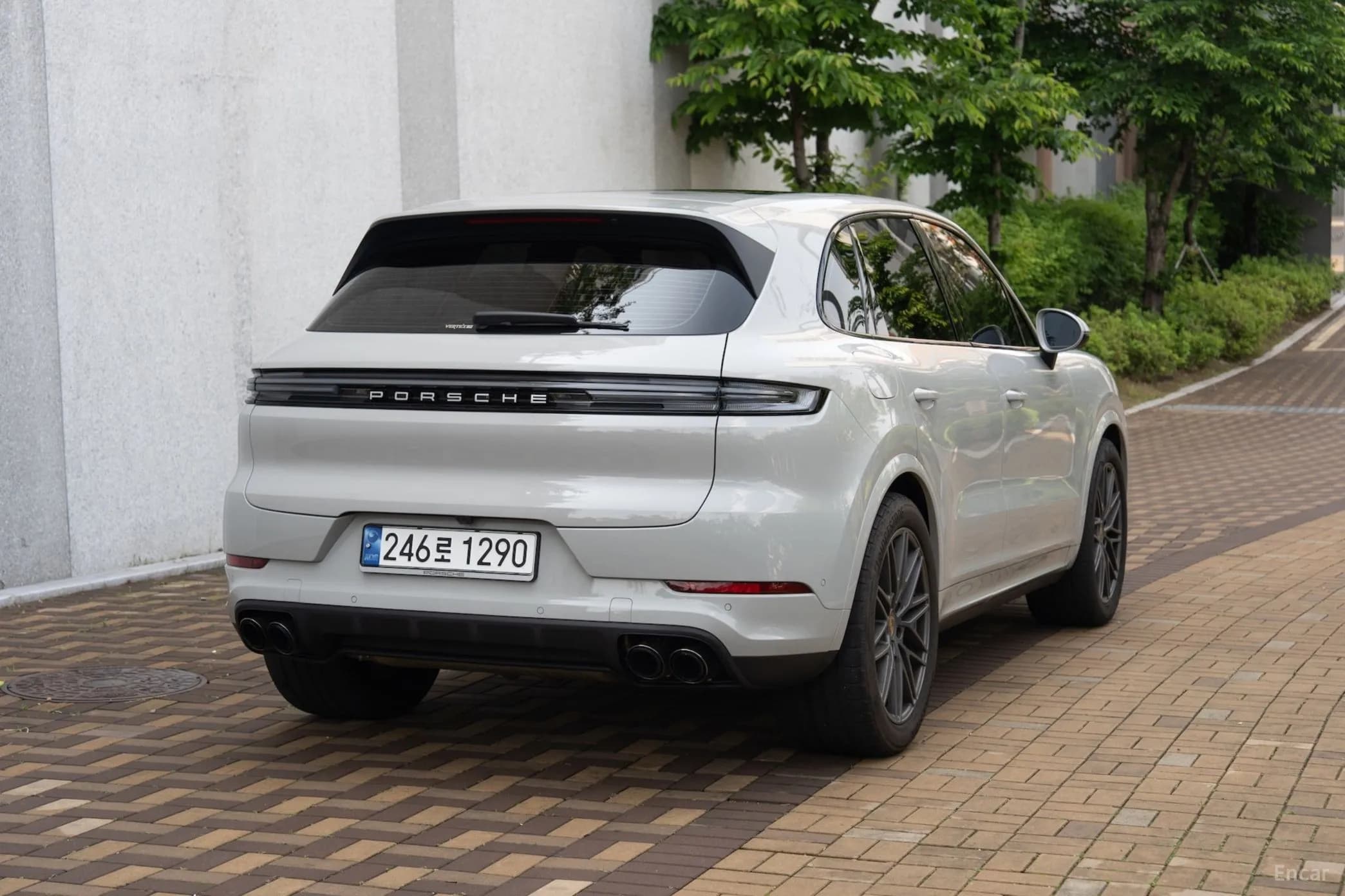 Cayenne (PO536)