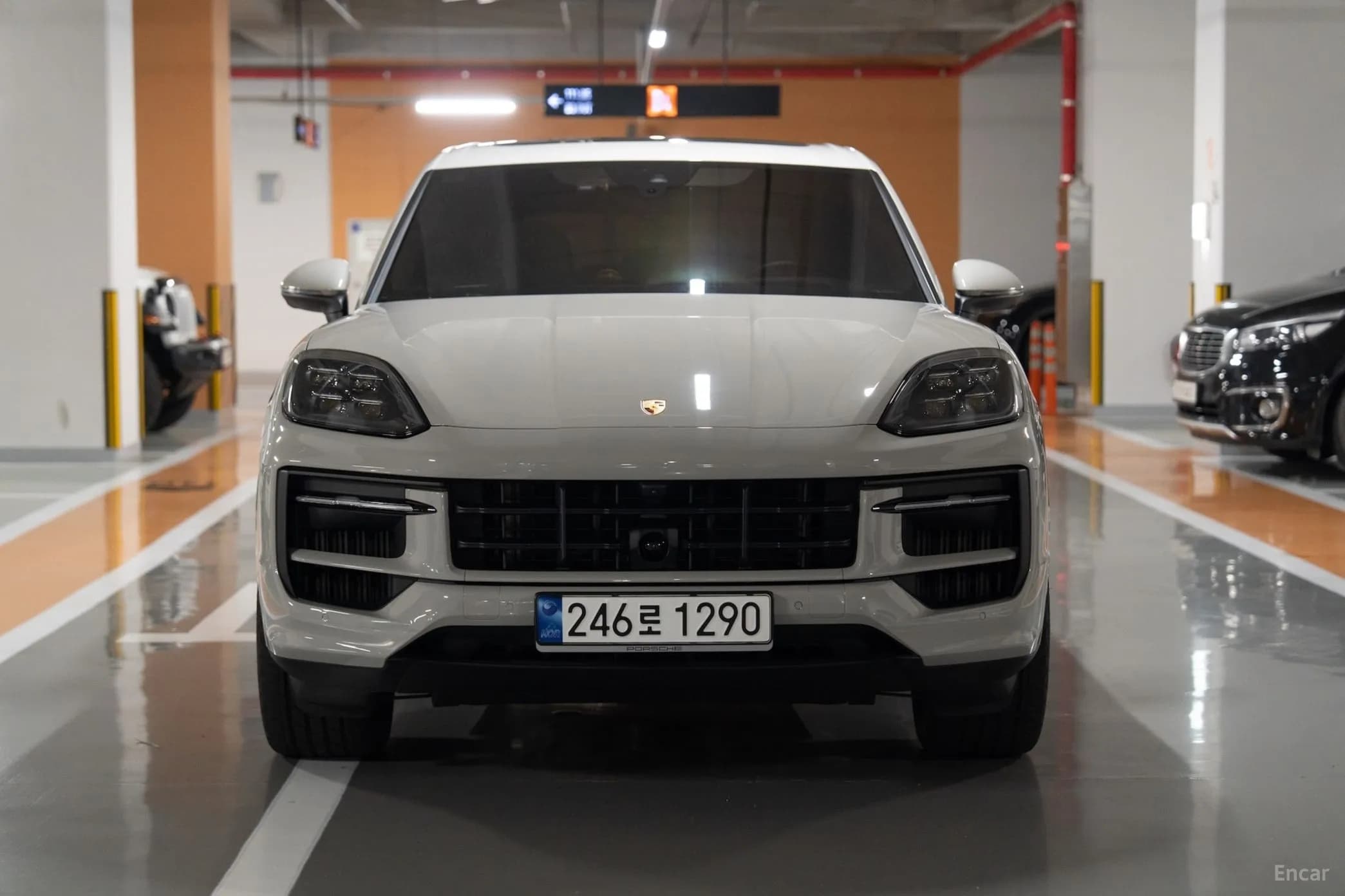 Cayenne (PO536)