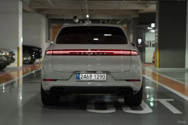 Cayenne (PO536)