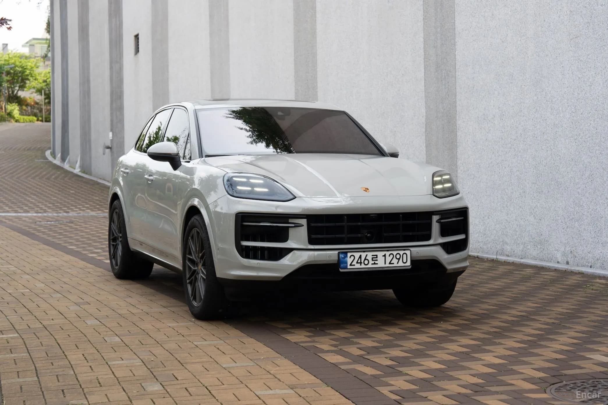 Cayenne (PO536)