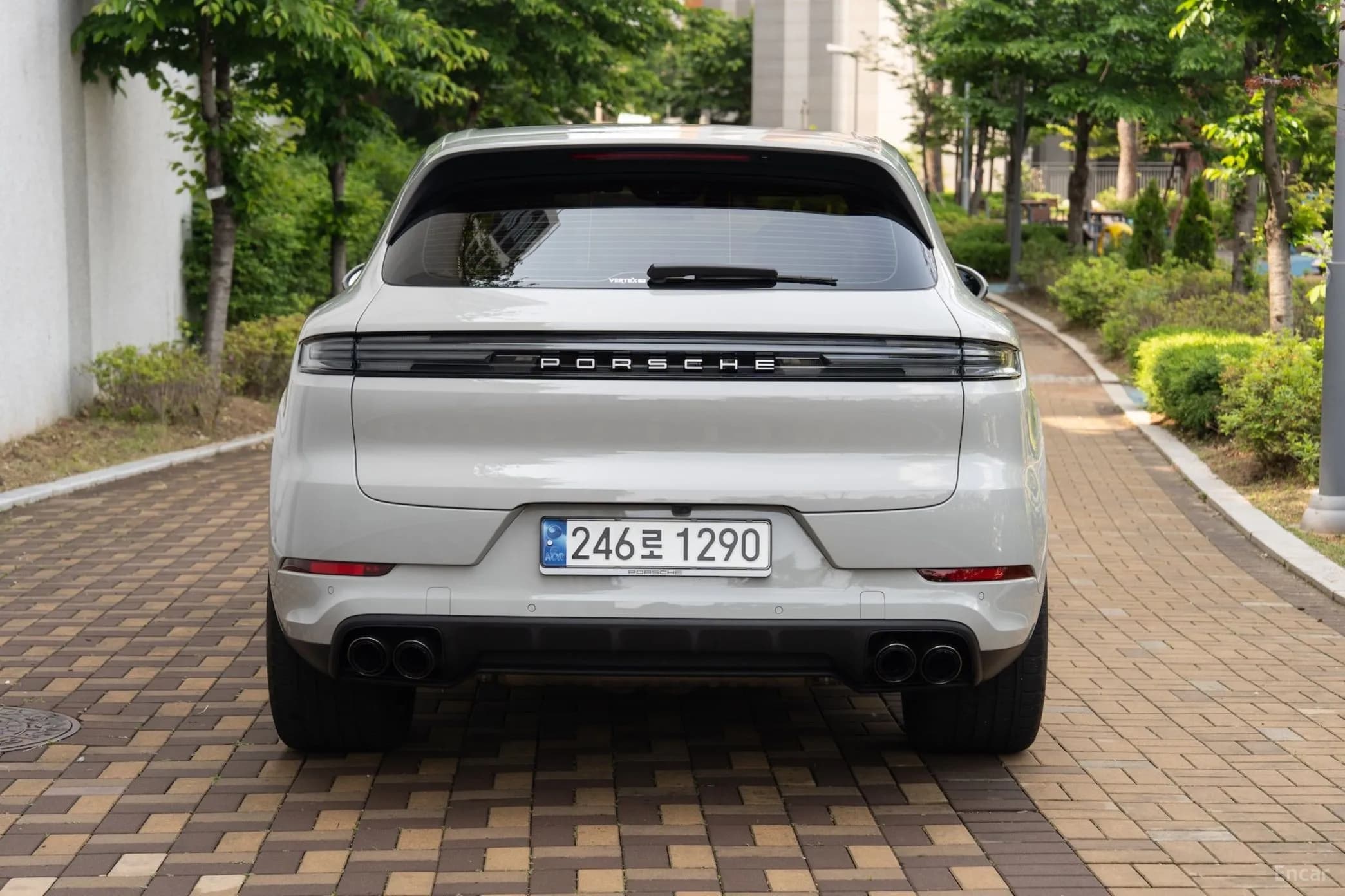 Cayenne (PO536)