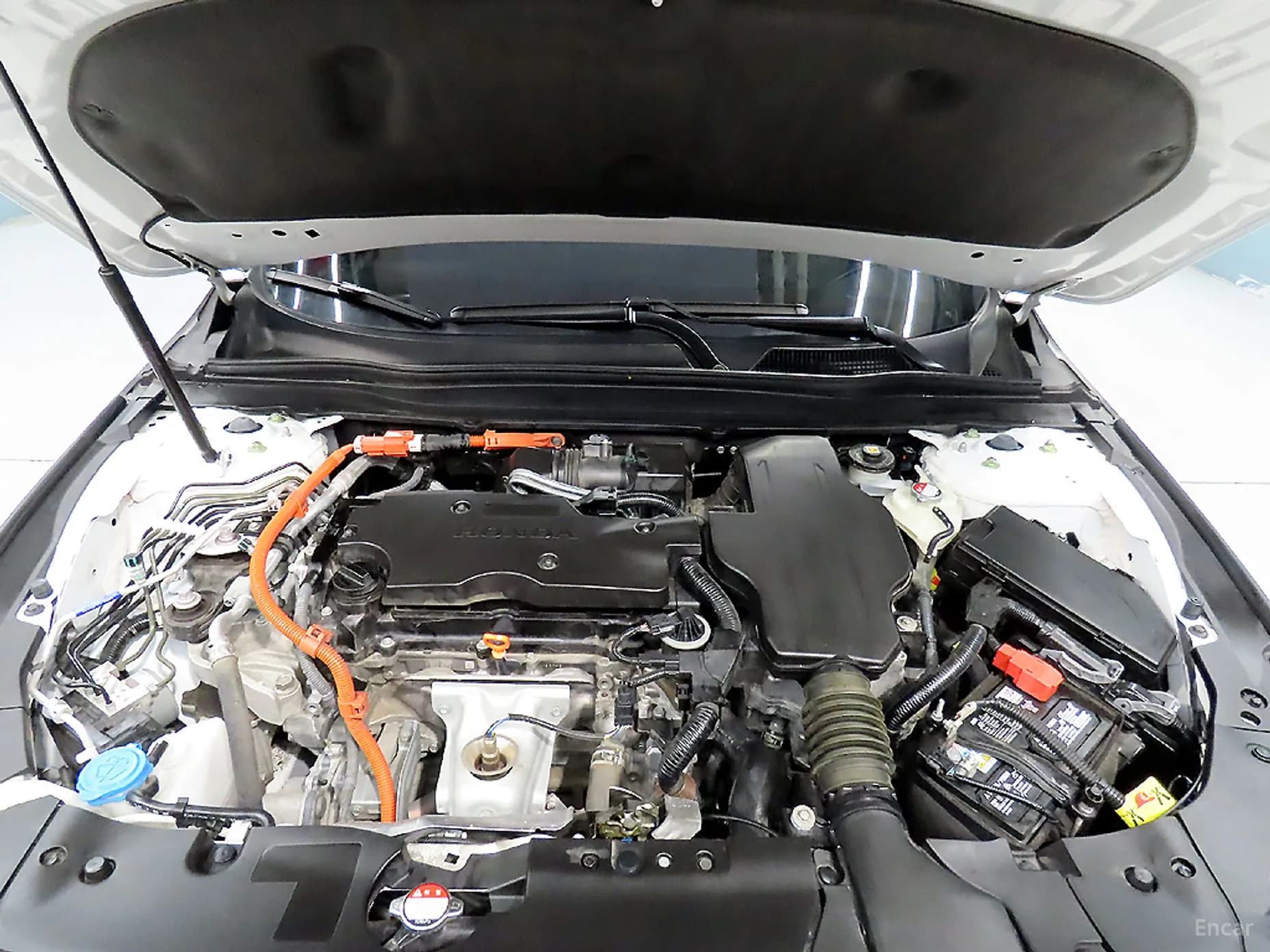 Accord 10th Generation