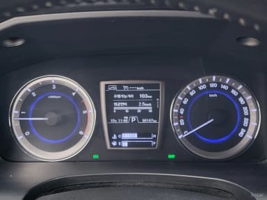 Rexton Sports