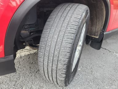 Rexton Sports