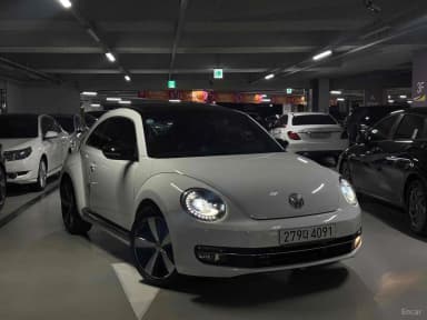 The Beetle
