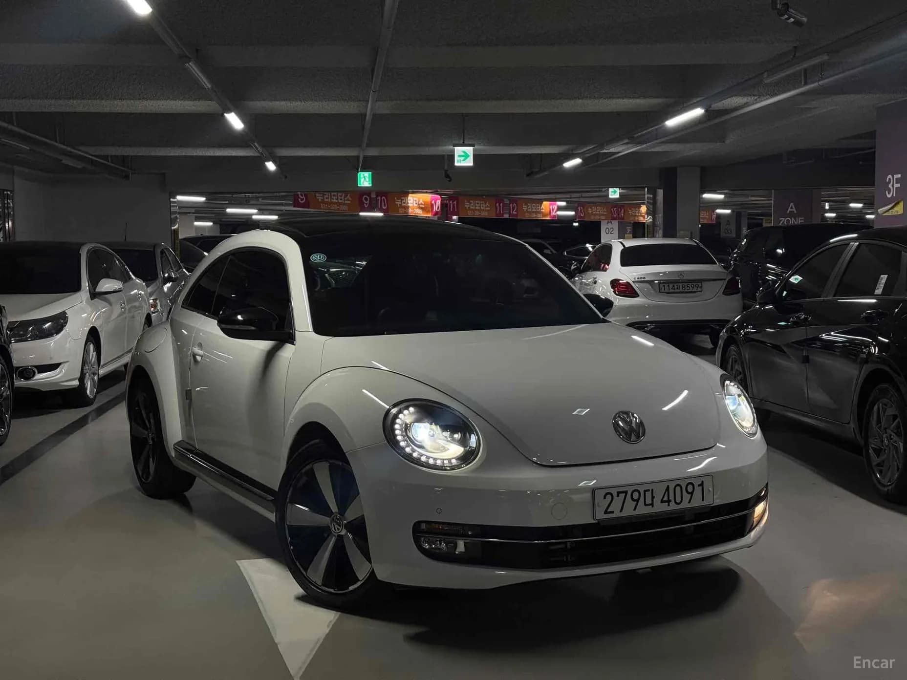 The Beetle