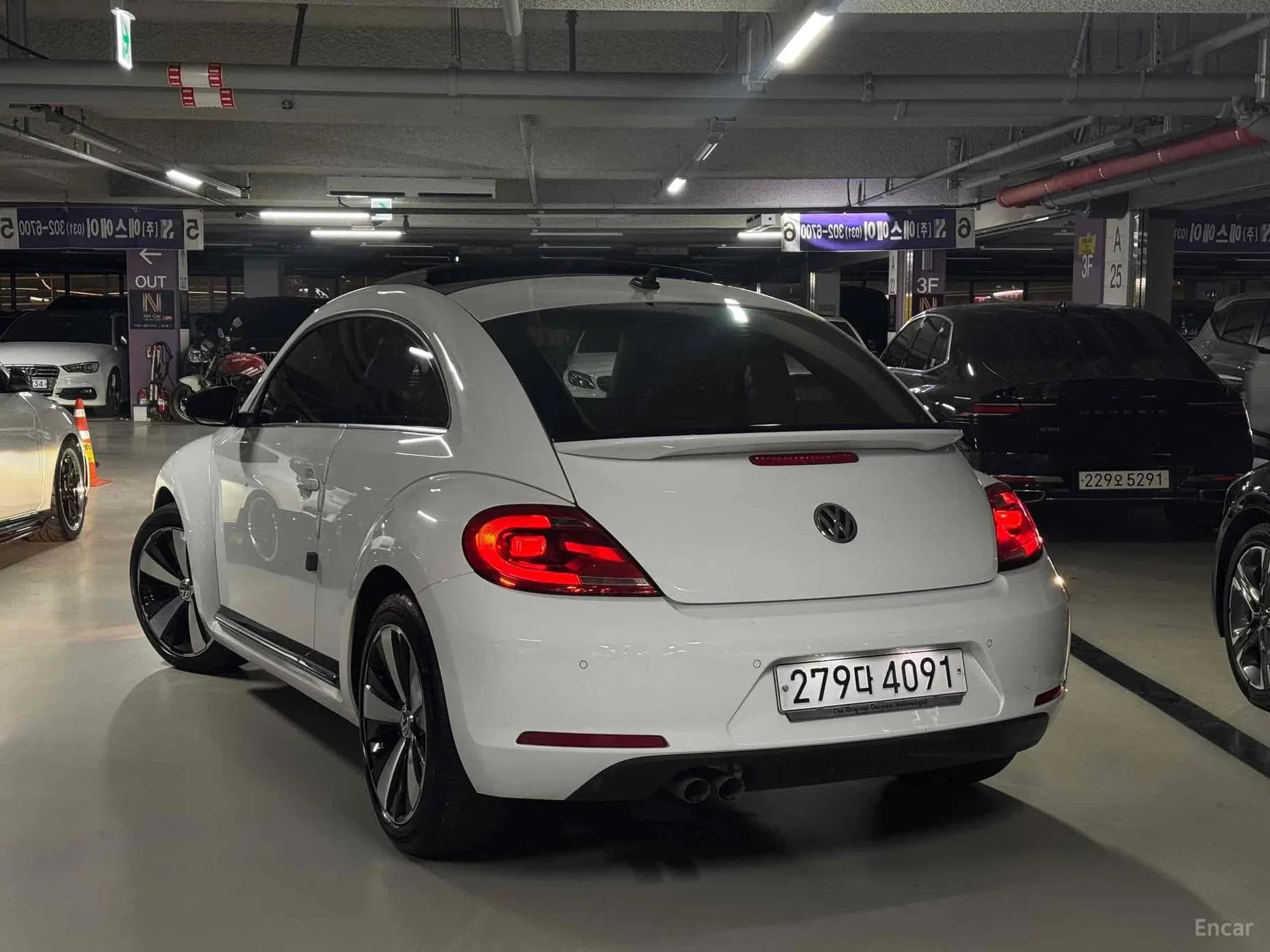 The Beetle