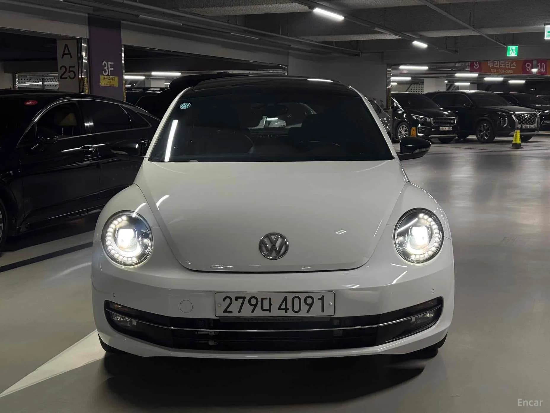 The Beetle