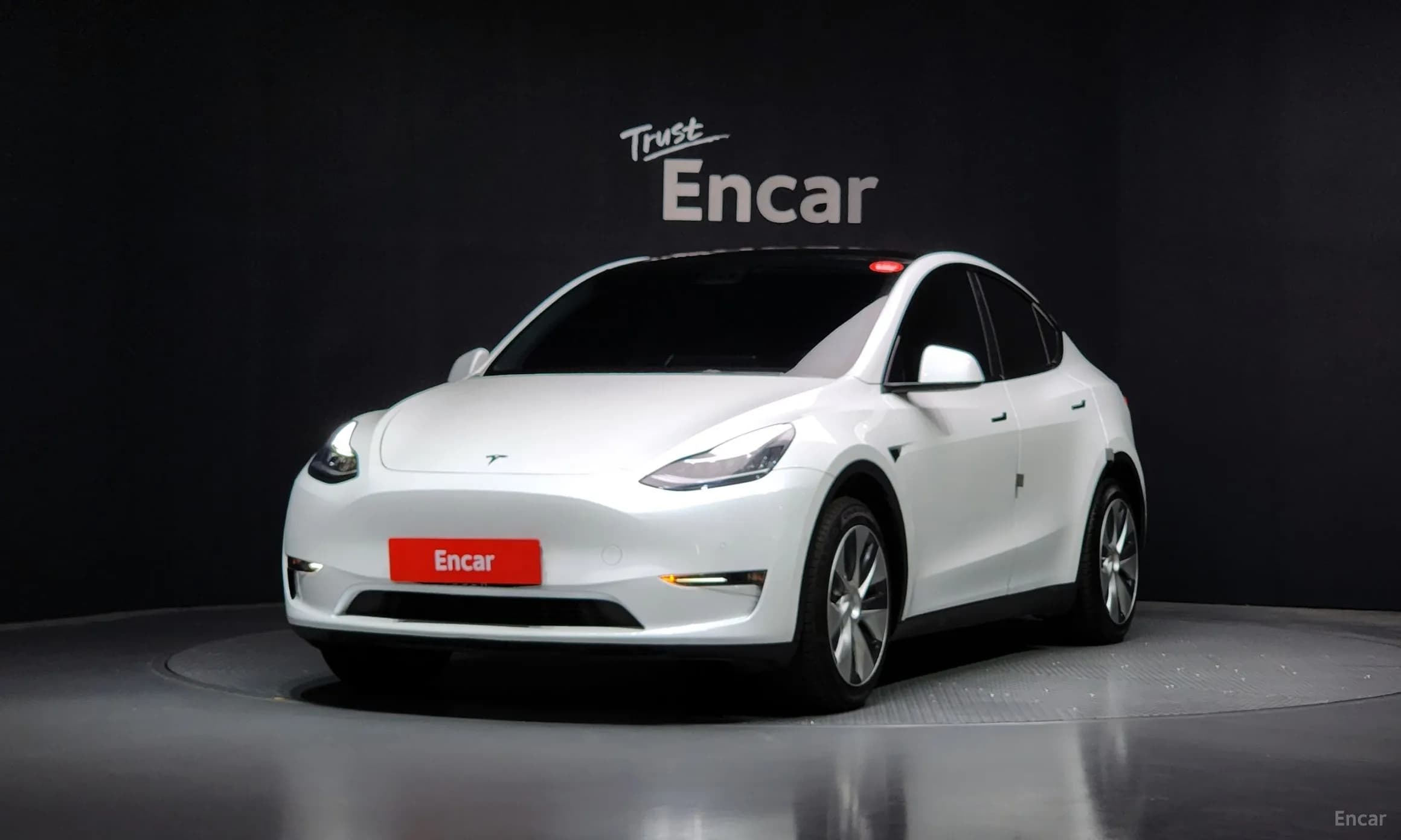 Model Y
