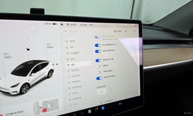 Model Y