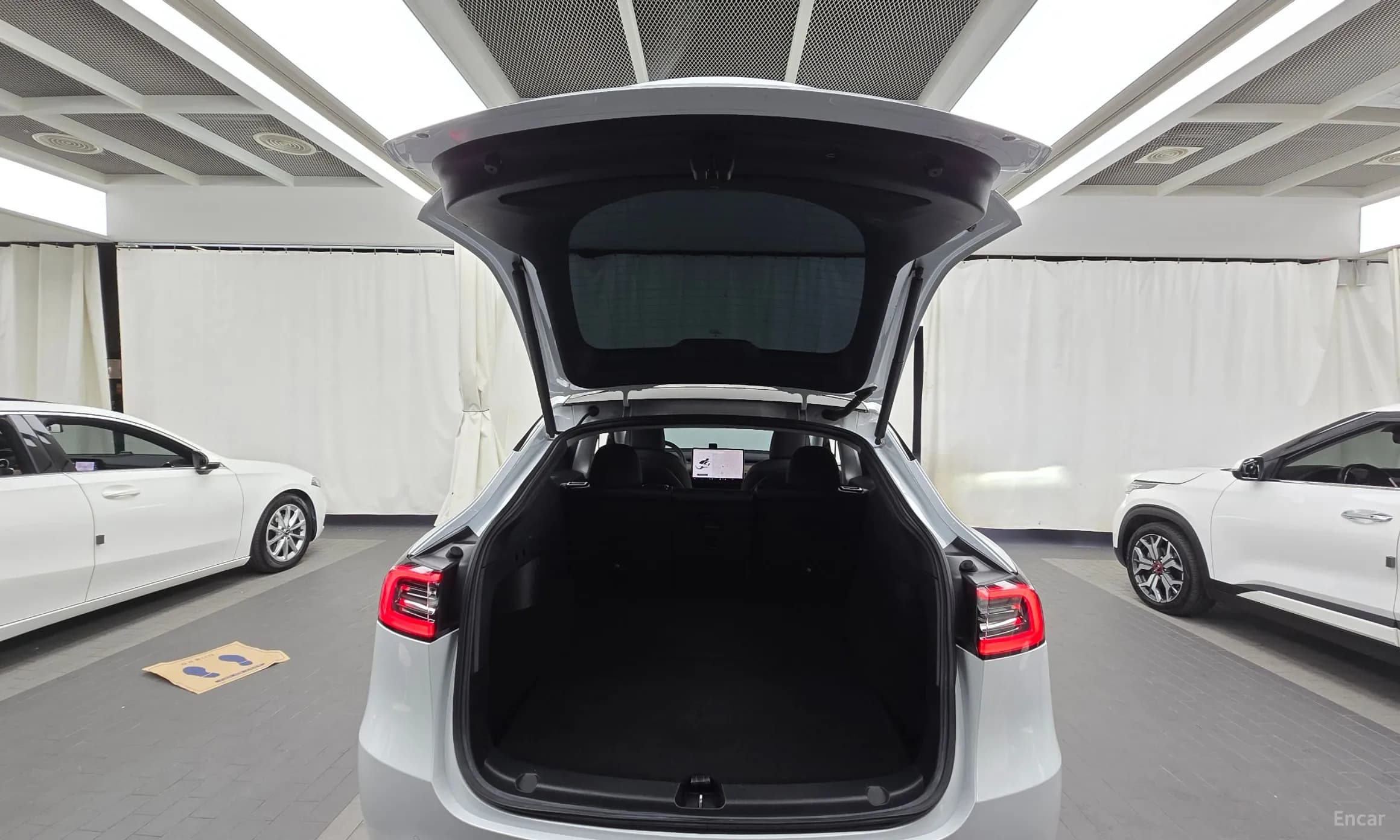 Model Y