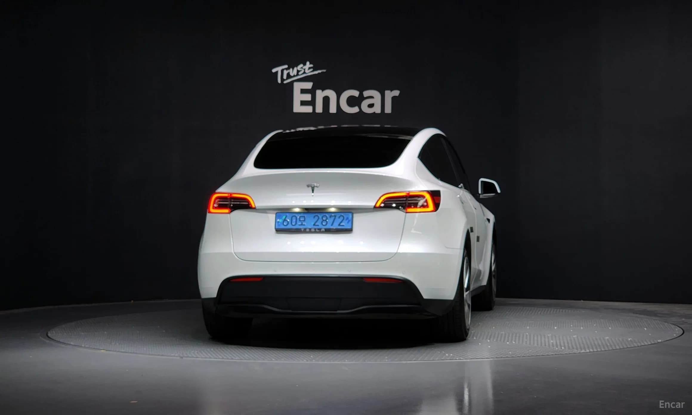 Model Y