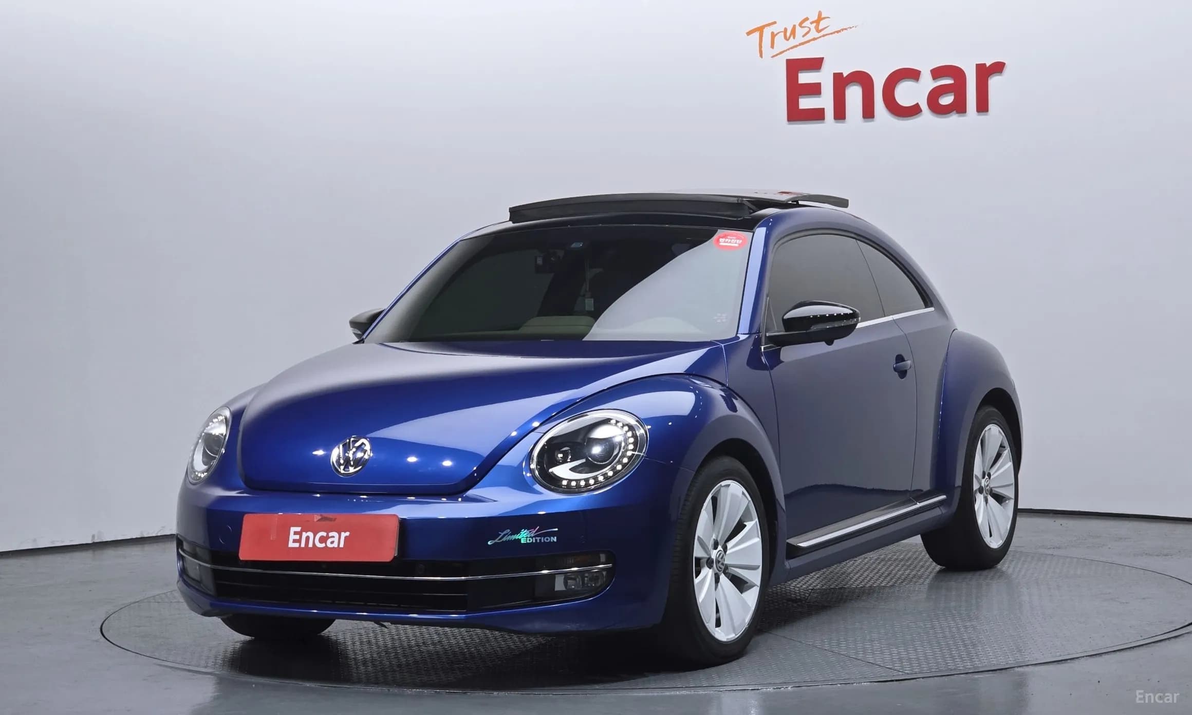 The Beetle