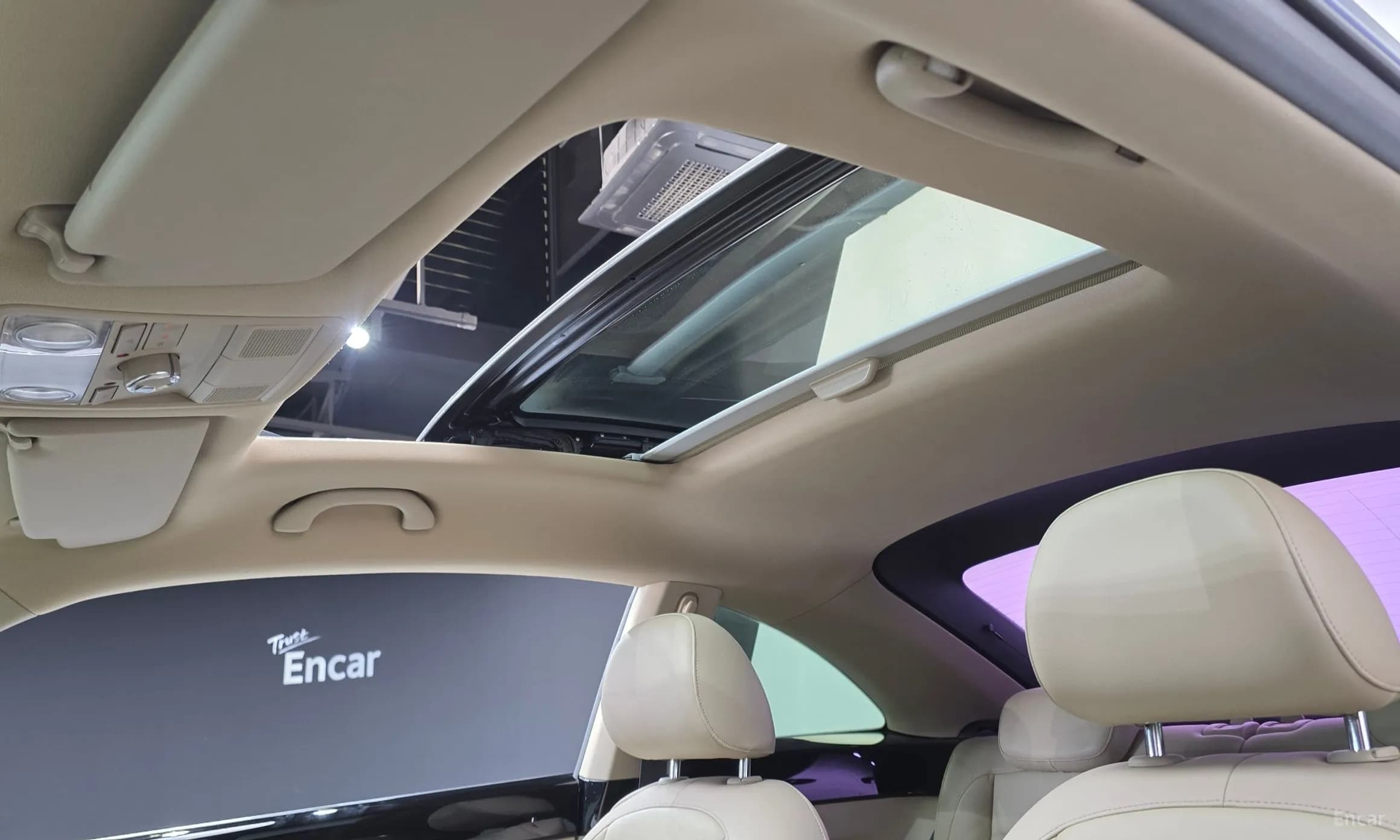 The Beetle