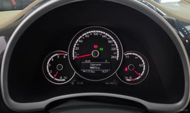 The Beetle