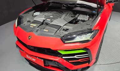 Urus