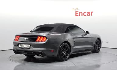 Mustang